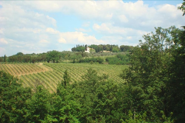 Hotel Tenuta San Vito